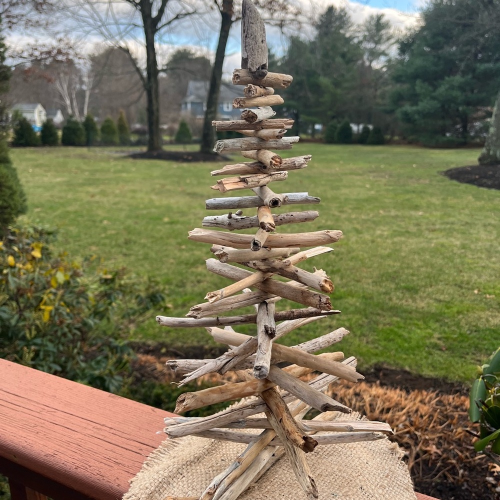 🌻Driftwood tree